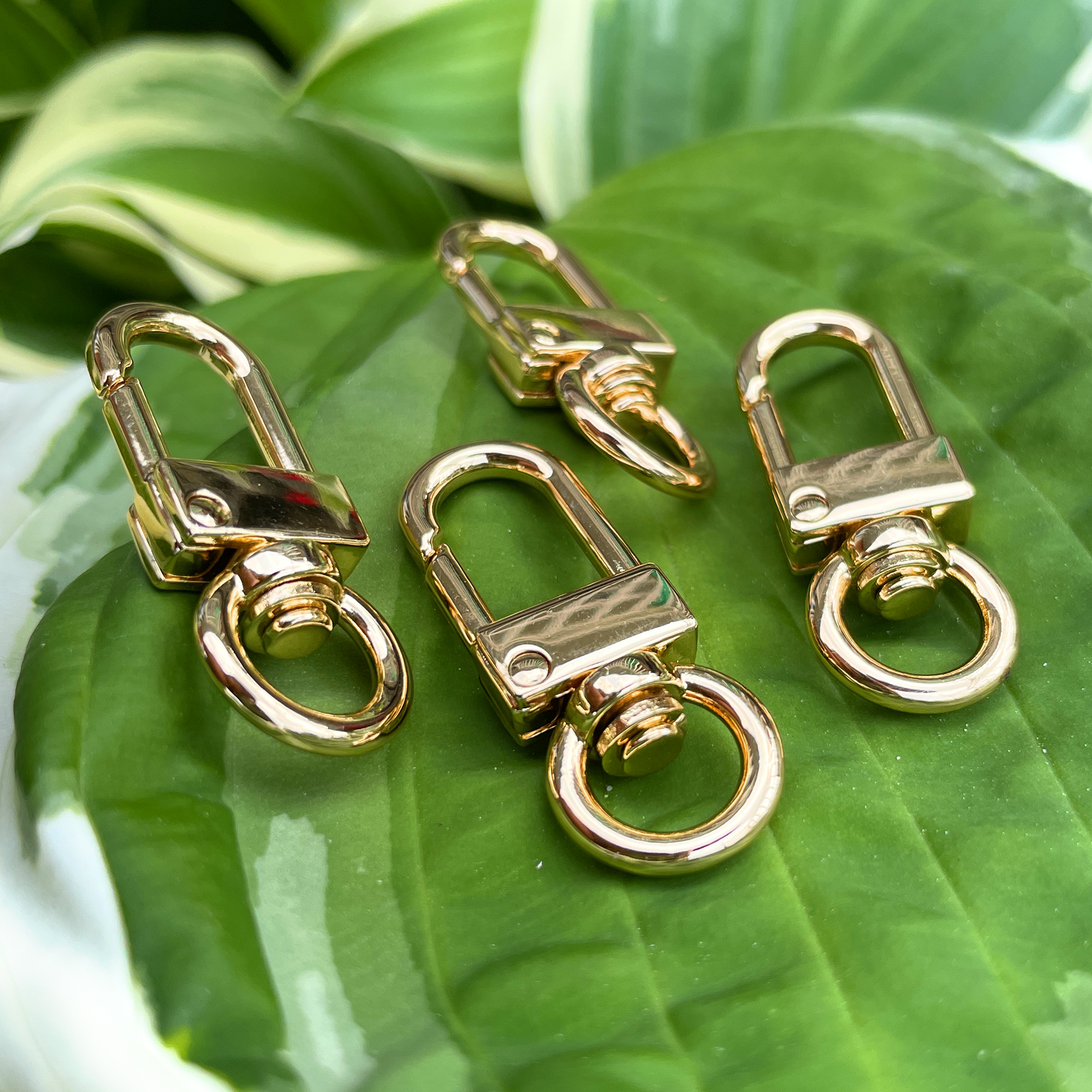 Clasps